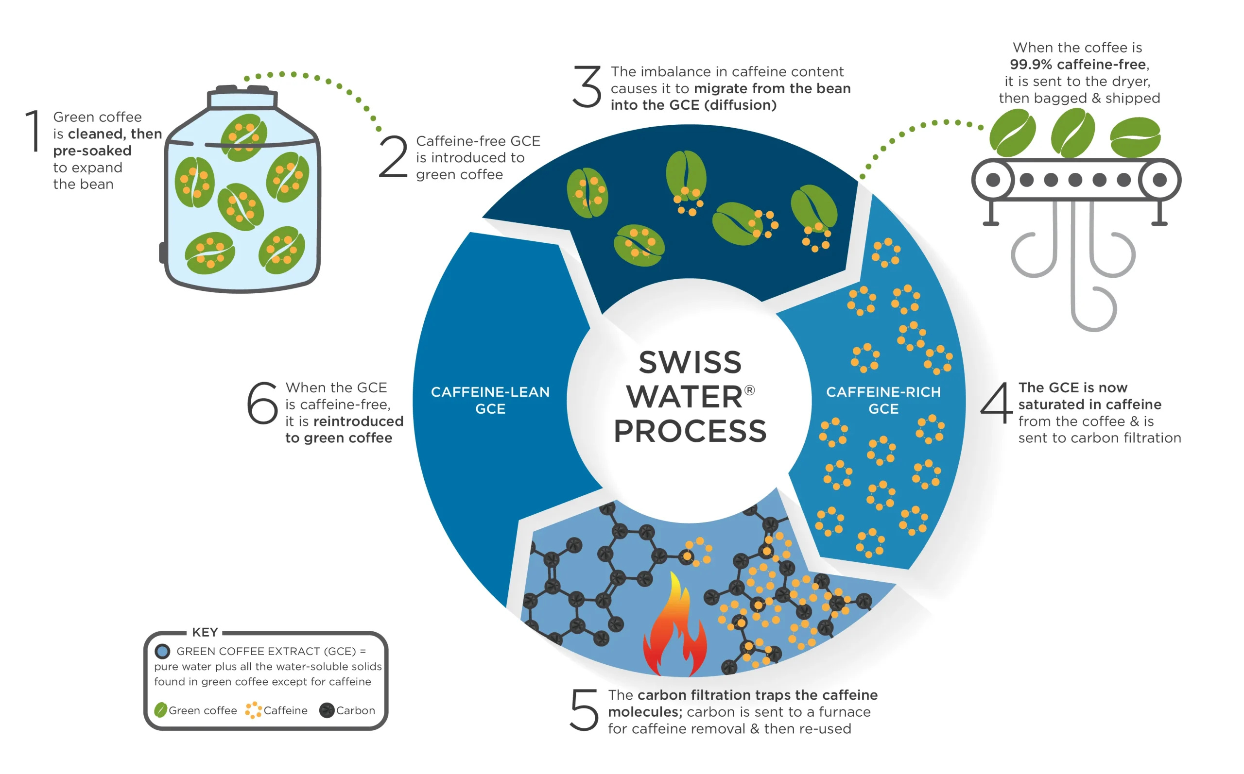 How Coffee Beans are Decaffeinated Matters - Why choose Swiss Water Process Decaf?