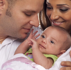 apa fertility infertility