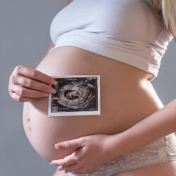 apa fetal development