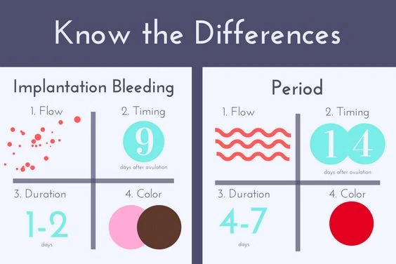 What is Implantation Bleeding?